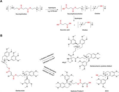 Structural Modification in Anesthetic Drug Development for Prodrugs and Soft Drugs